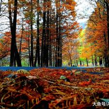 中国四大一线旅游城市, 杭州排第三, 成都、重庆均未上榜